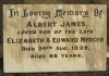 MERCER: Albert James