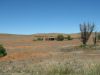 Gumbowie, South Australia, Australia